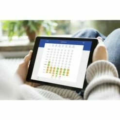 Radiateur électrique A Inertie En Pierre Naturelle Avec Connectique. HAVERLAND TT10C. 10 éléments 1500W -Haverland Soldes Boutique 56617439 4